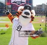 Detroit Tigers Image 3